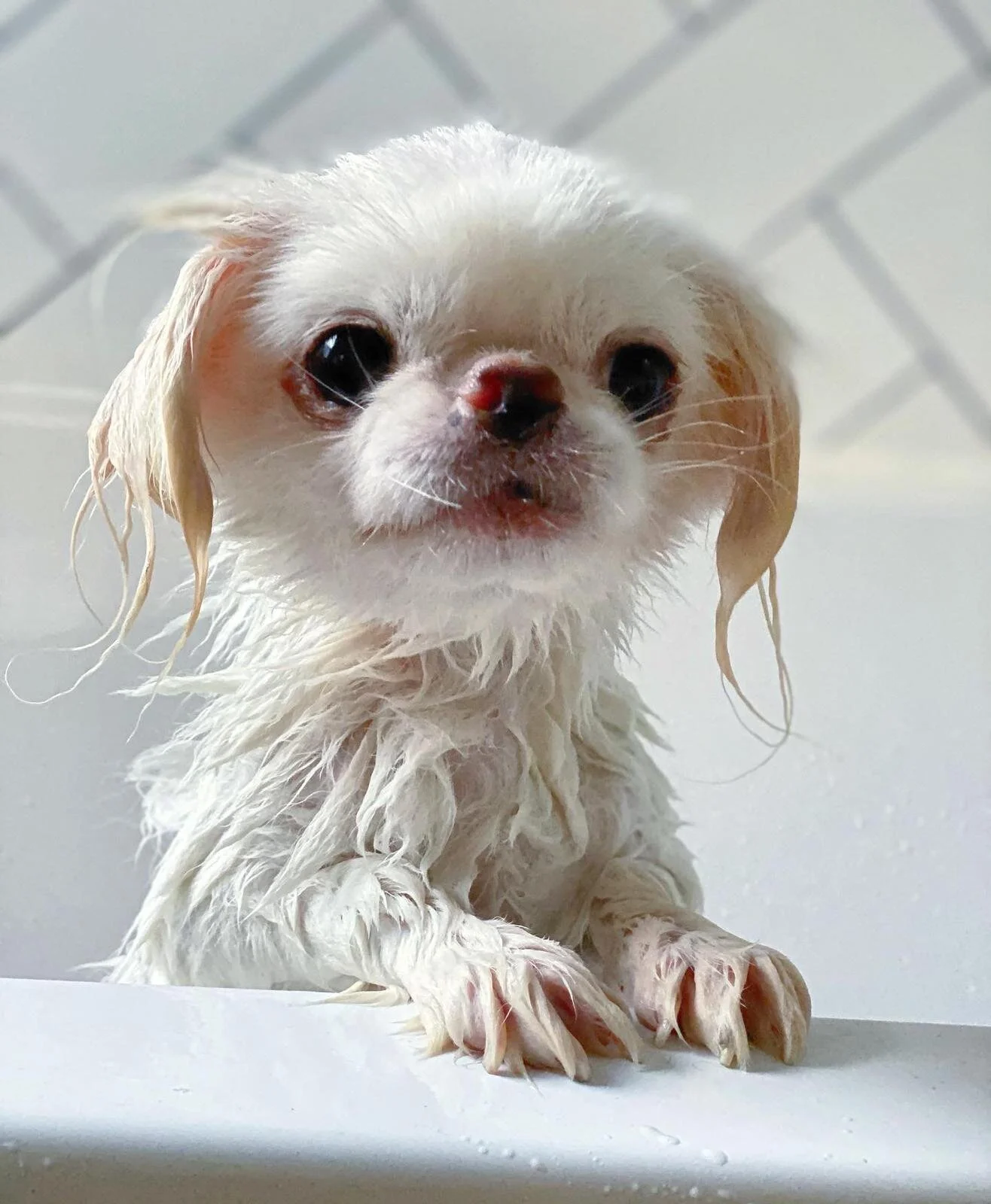 992BB83A-39D8-4F33-A069-B8014BFC4339