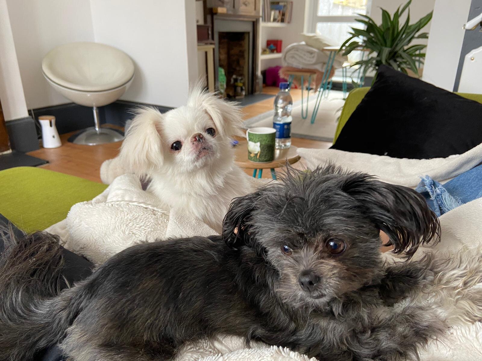 B59735DA-E2F5-4594-AF1E-8E3D67D23586