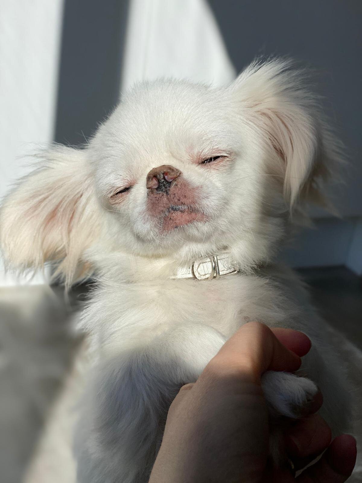 60DC1C74-EC16-4176-8AA0-5251962EA6C9