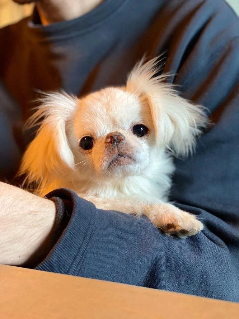 D162AA81-5042-4D0F-97E8-0387163F4C89