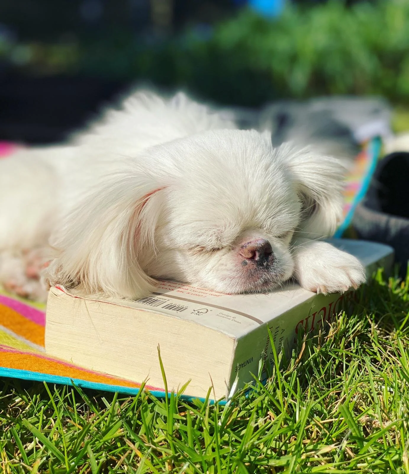 F8219EE0-0CE8-4465-8680-E257901F6F92