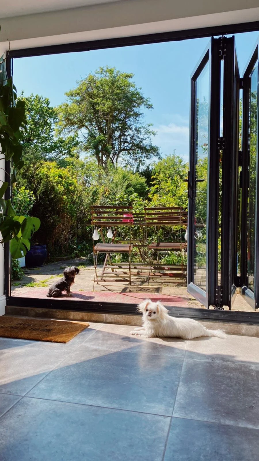 88FDF41C-3E47-4D6E-9DA3-742EB07F69B0