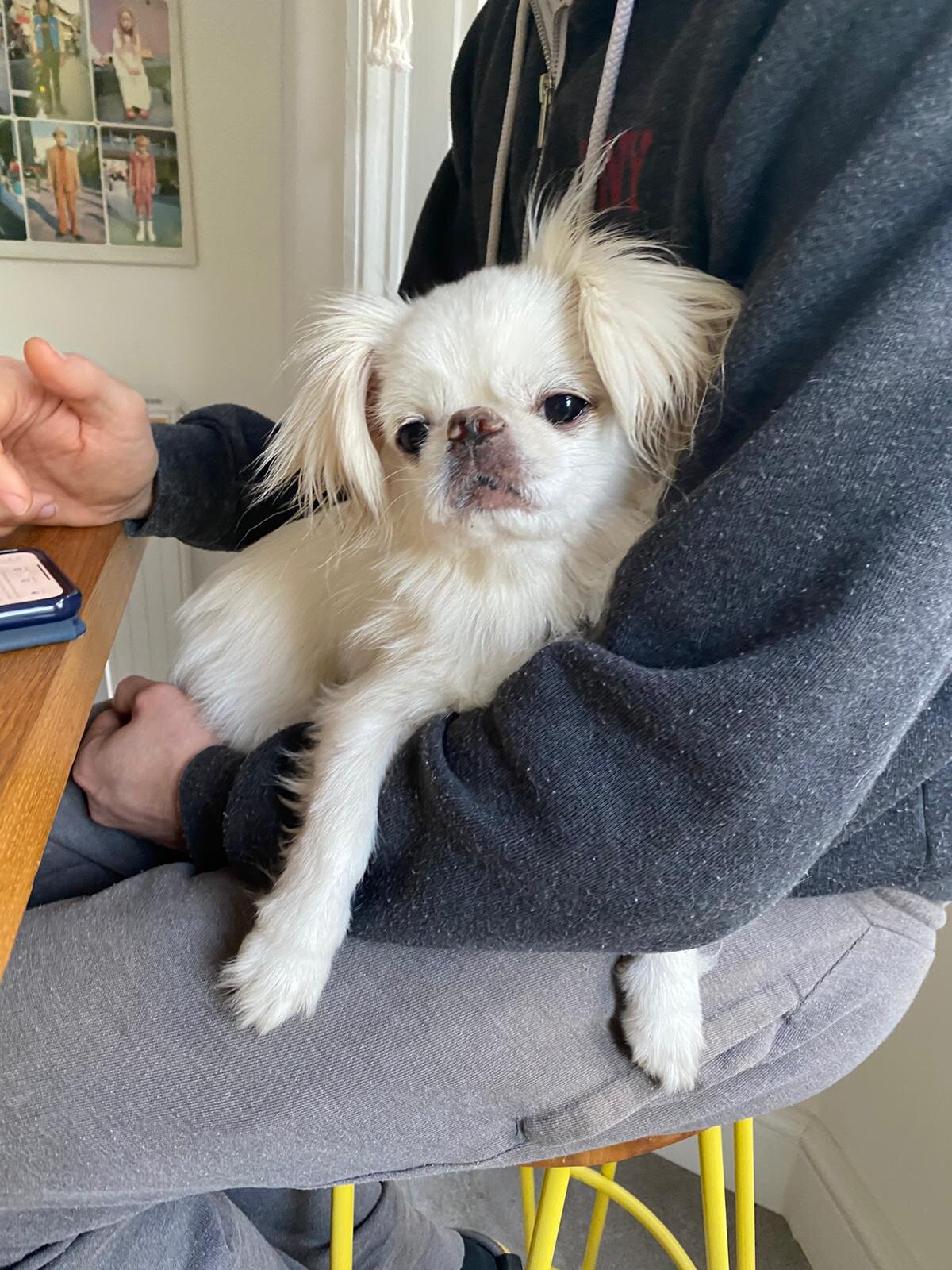 A200CBAB-7BEB-4234-AB0A-C42604EEE358