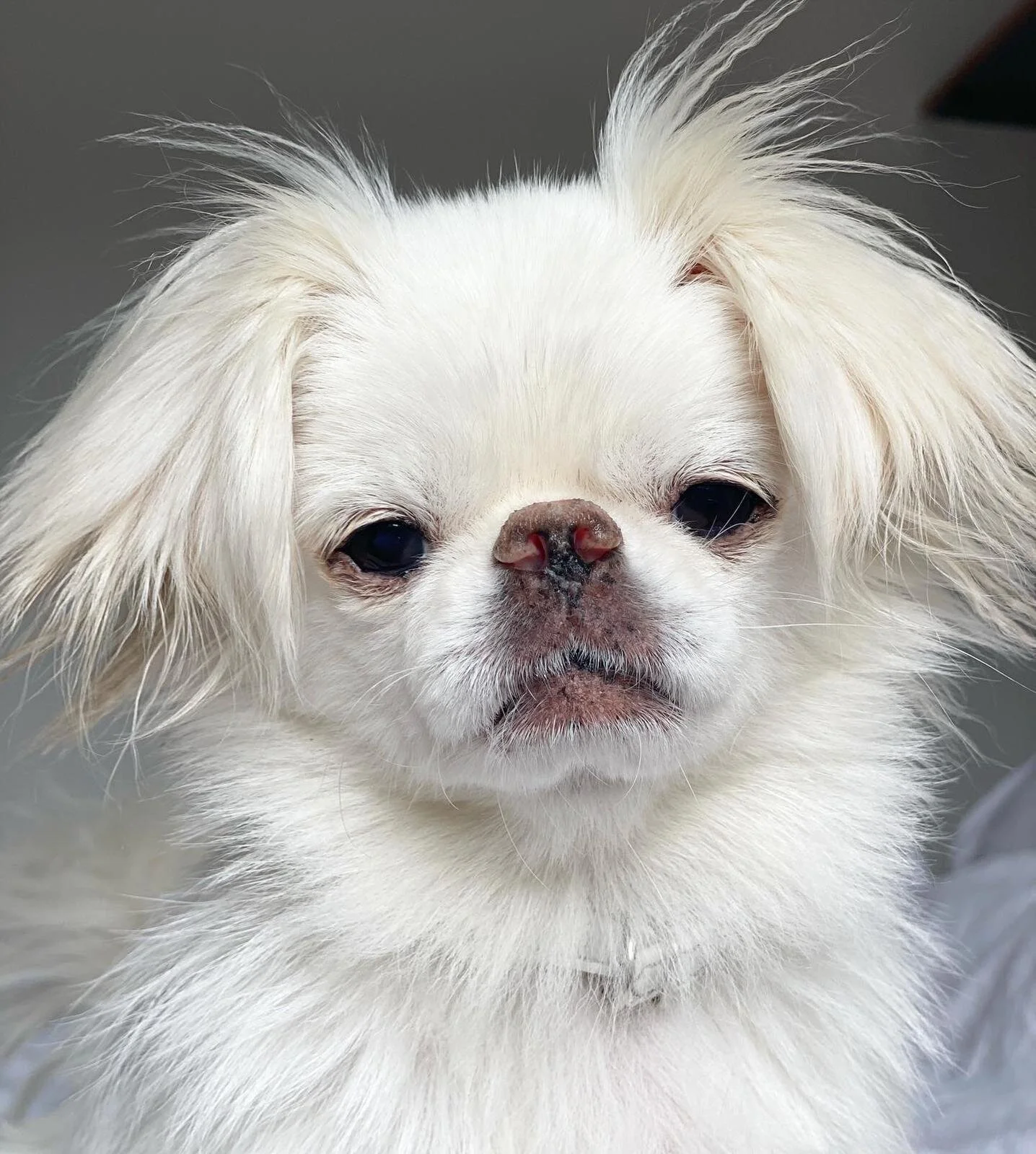 76CBBE38-7B45-419F-BB78-271B052AEDA1