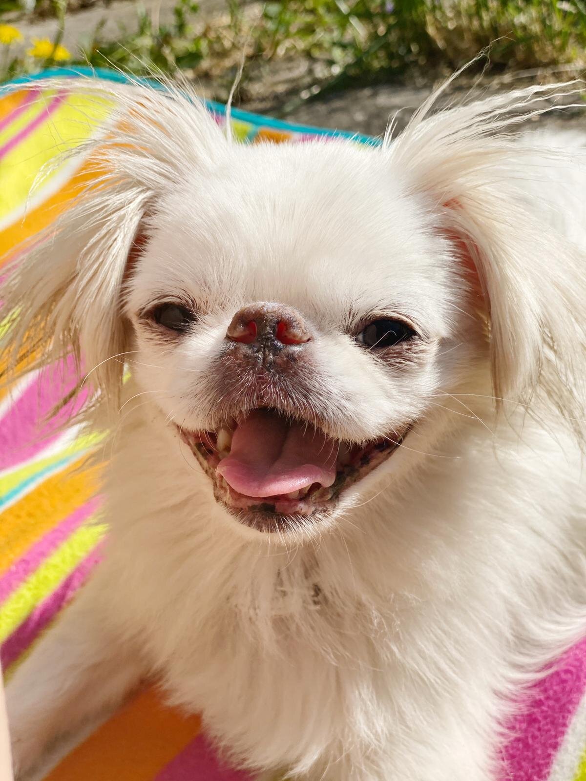 C17B20B4-B5A5-437F-8C22-EAF4B736C666