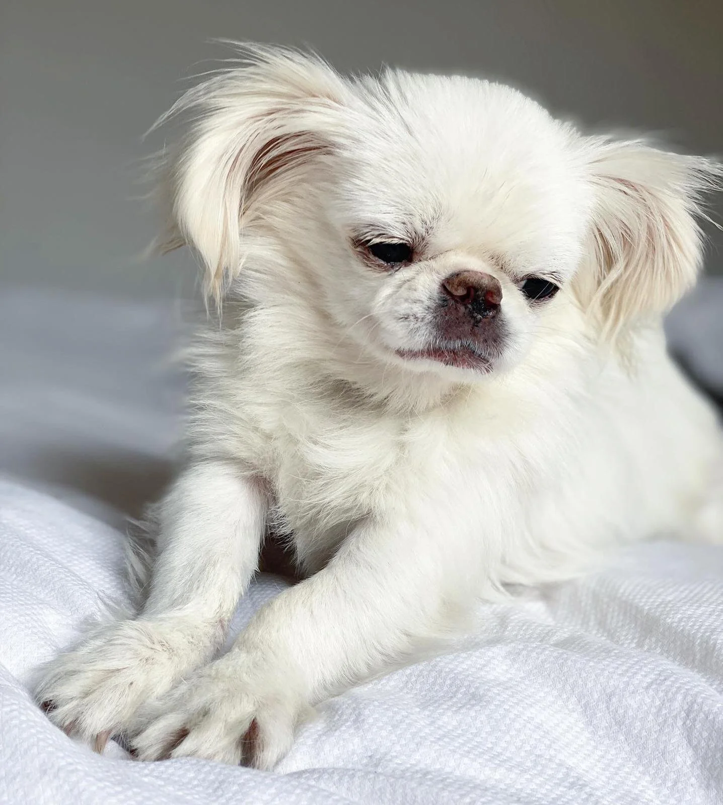 E197655D-4719-45C7-B4F8-ED7F8E5DDCBF