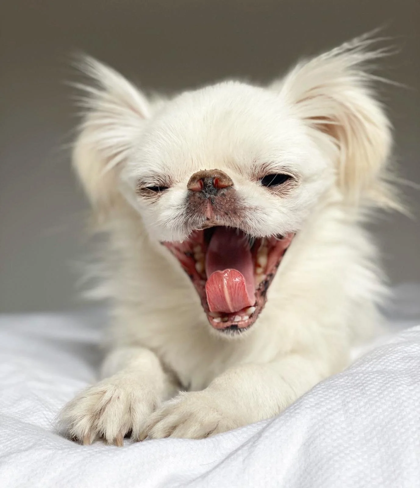 A8666870-2E1F-4D7F-BEBF-73497055B43F