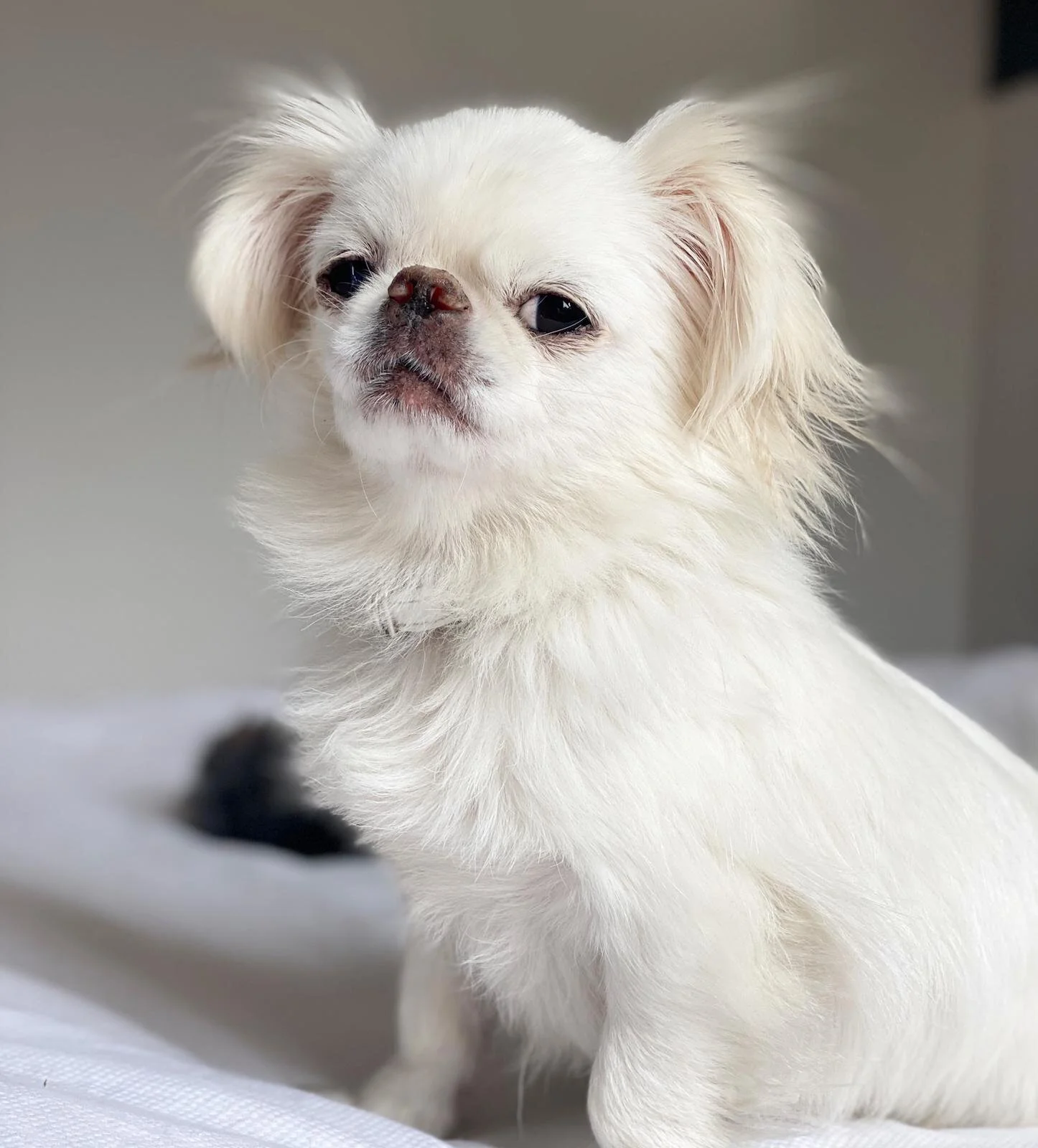 02347CB5-8C5A-4BDB-AF60-B03FC5928EC4