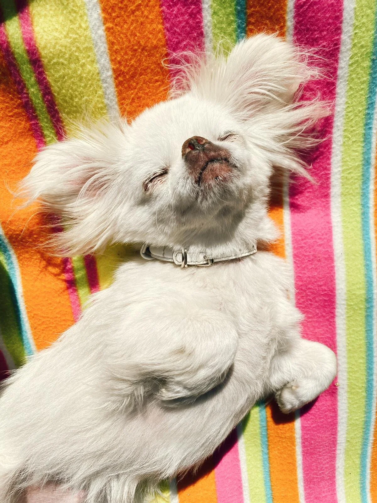 5FD3645A-958C-4A54-A965-E124C7A2B46C