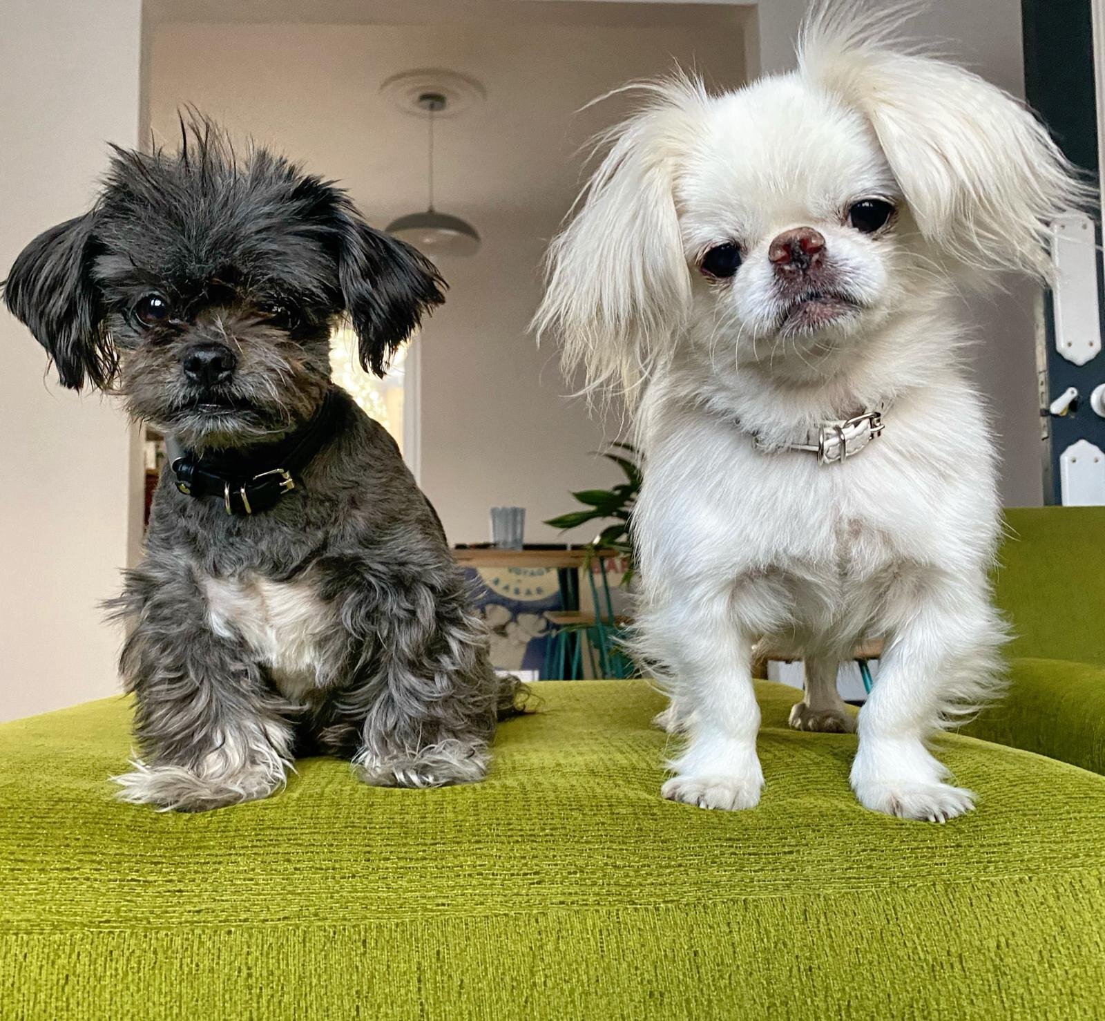 815076BB-1BC7-4F26-9DA8-2815B1A69D27