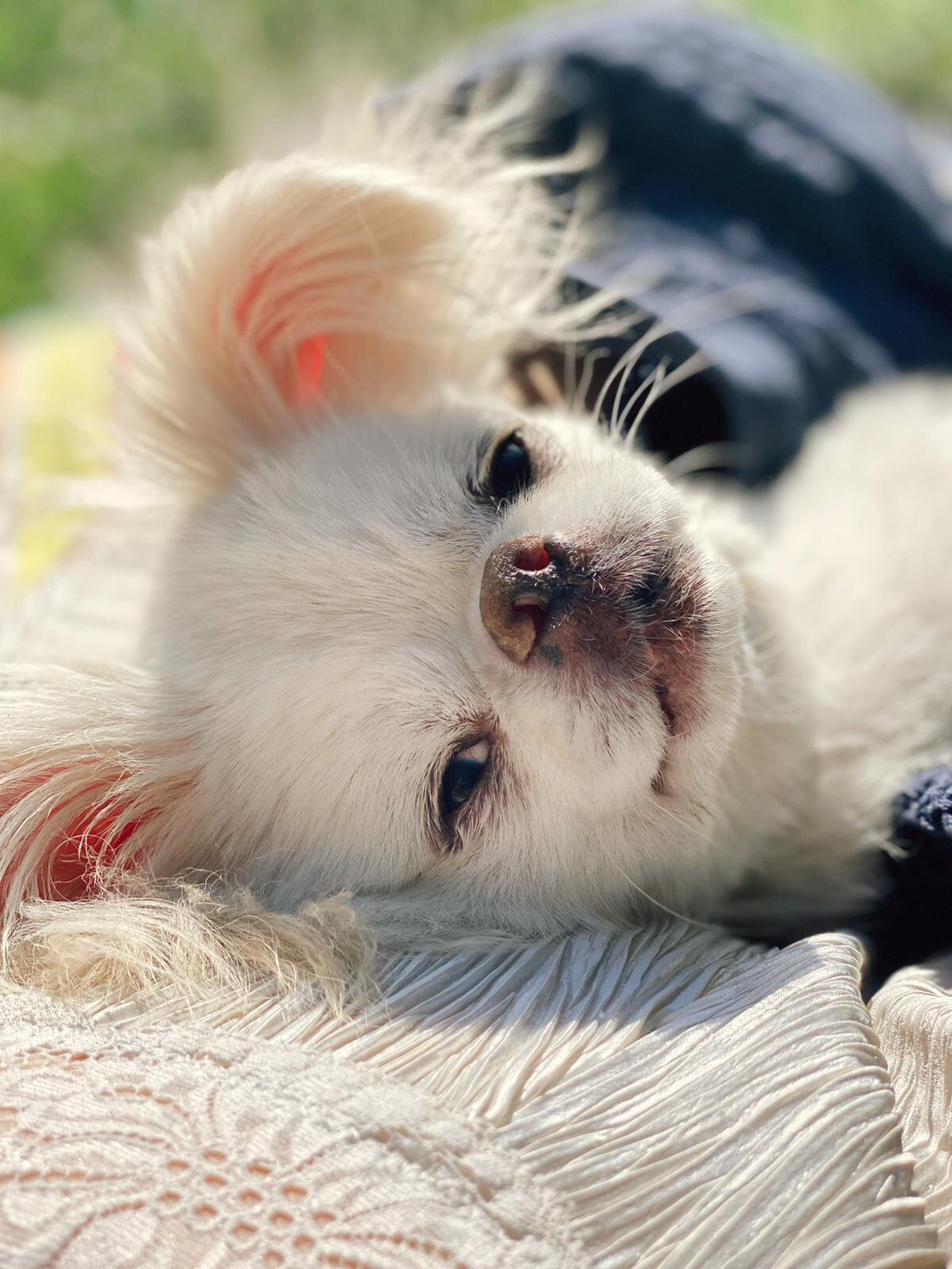 C5001DF9-72B1-4188-B3B0-0B5858284439