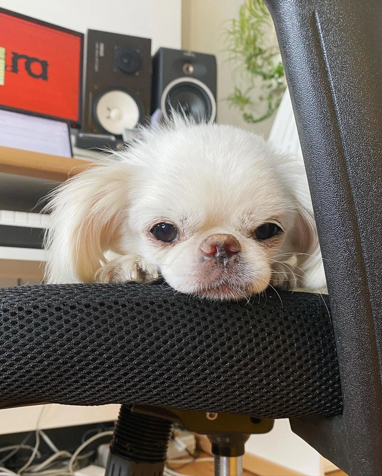 A1D56BCC-28CB-49AC-8E20-B8FCEE7322CC