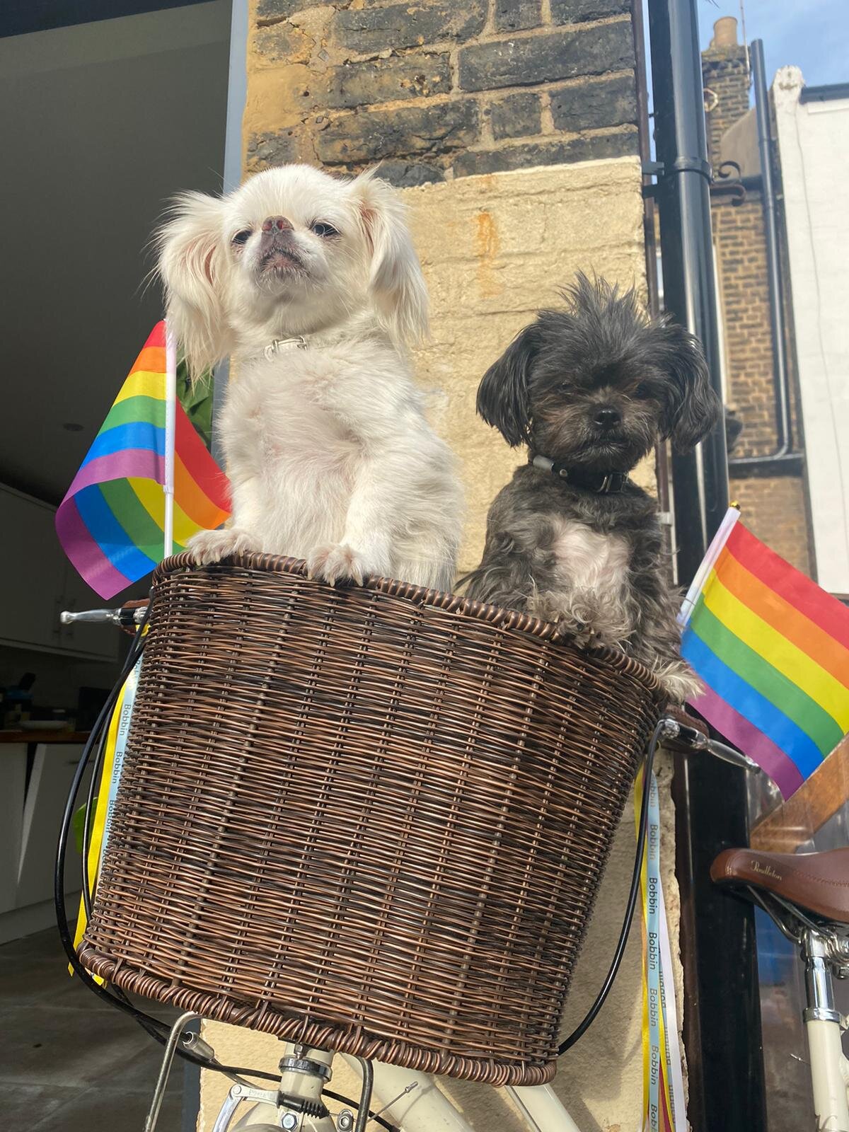 9D6E114A-D1B4-4FAB-A0AA-3CFE771E2EC8