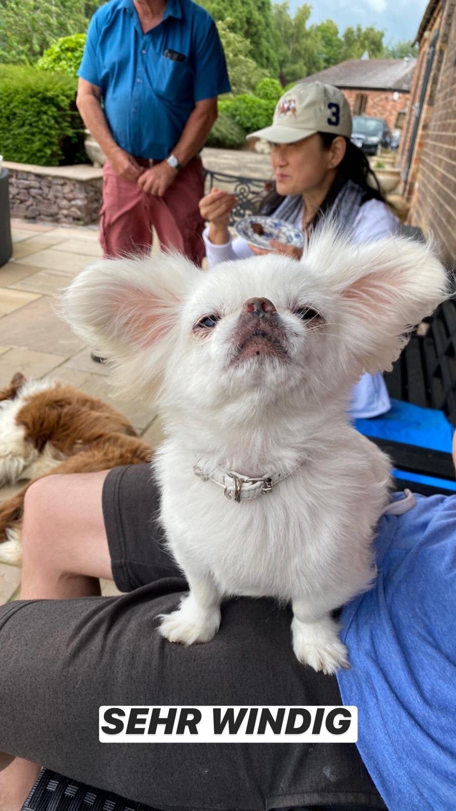 733E45EA-FBB7-41A0-B436-B78FC81FD6B2