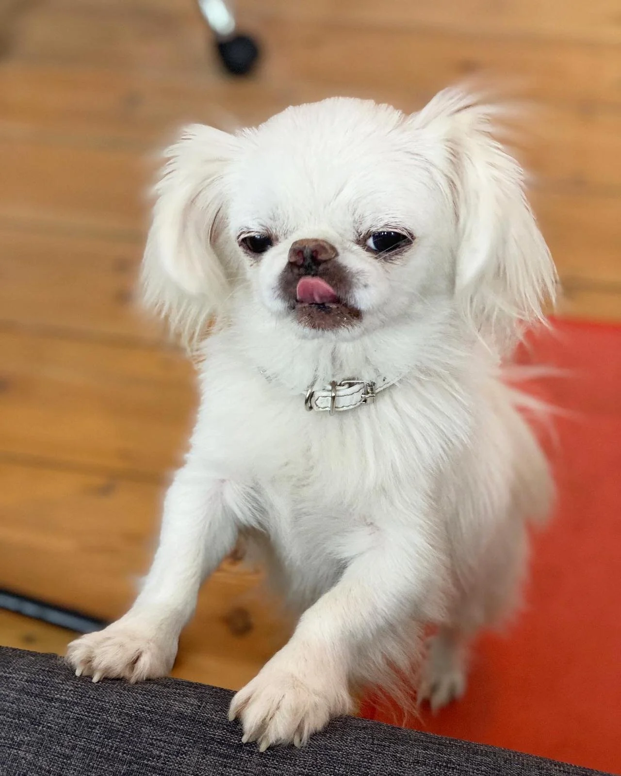 0C8204FD-1047-46D3-8044-D3A7D58E2C1E