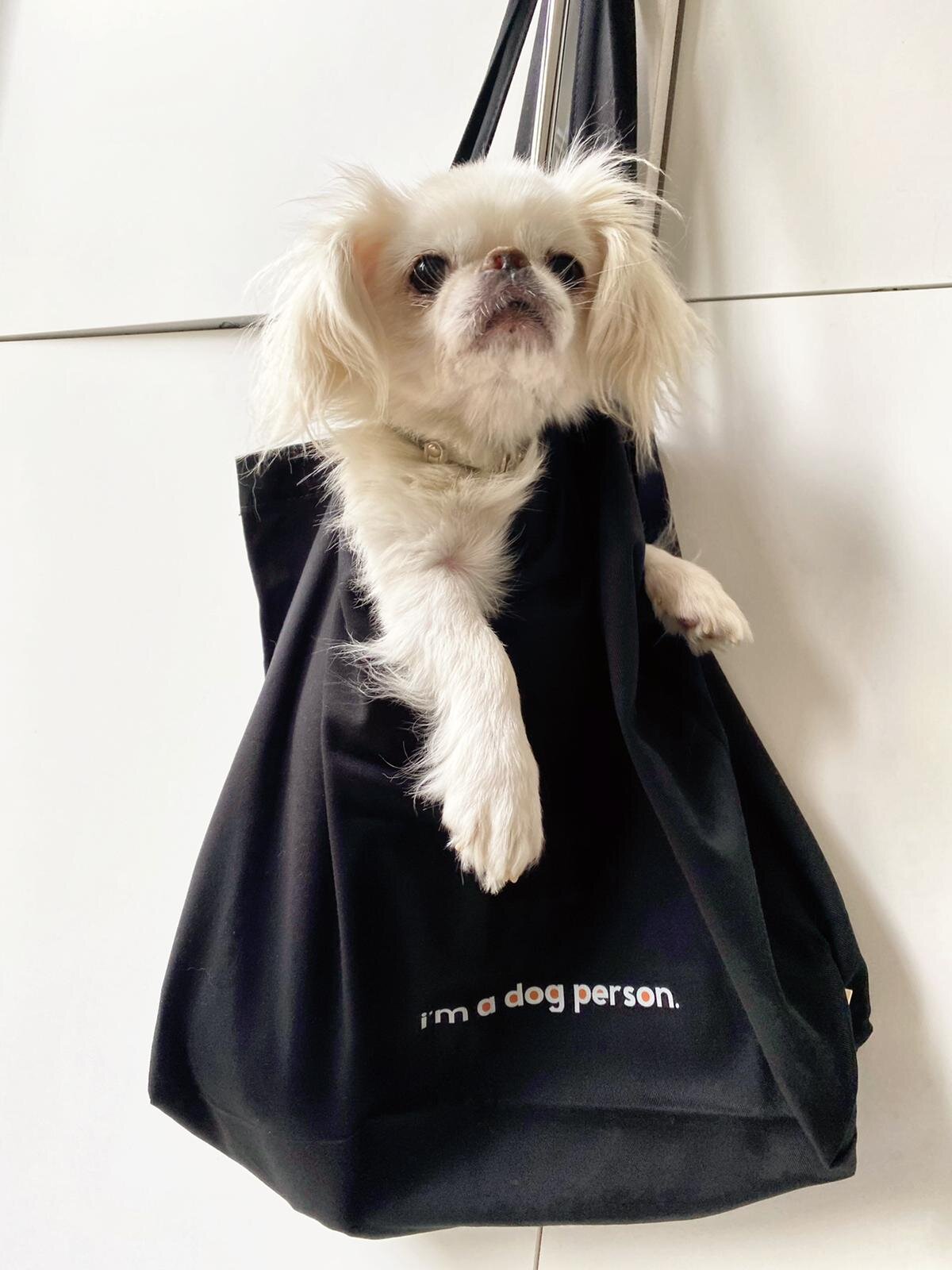 1FD639F3-239C-46B6-855E-C9B0C9ADD172