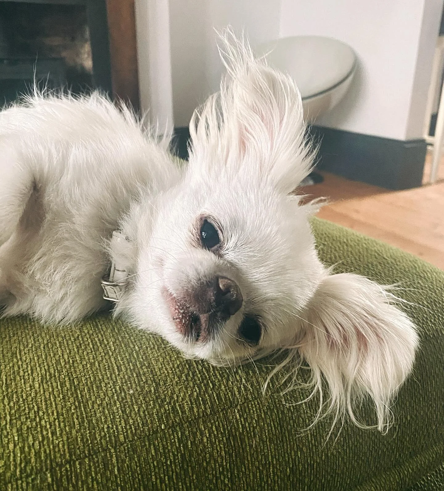 EA7CB6AC-B7B2-411F-A6C7-072D0F2AEDE5