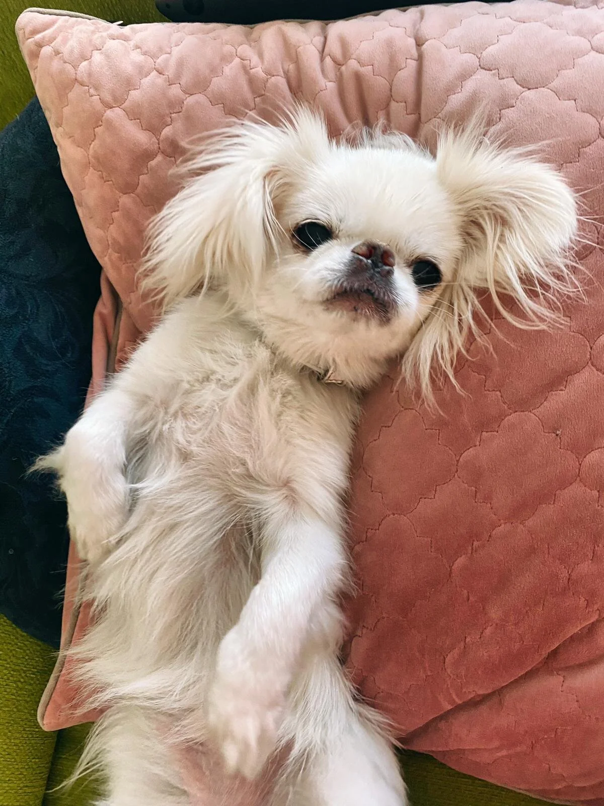 A70E119A-7FCE-4C6C-92C3-D8C5139651B4