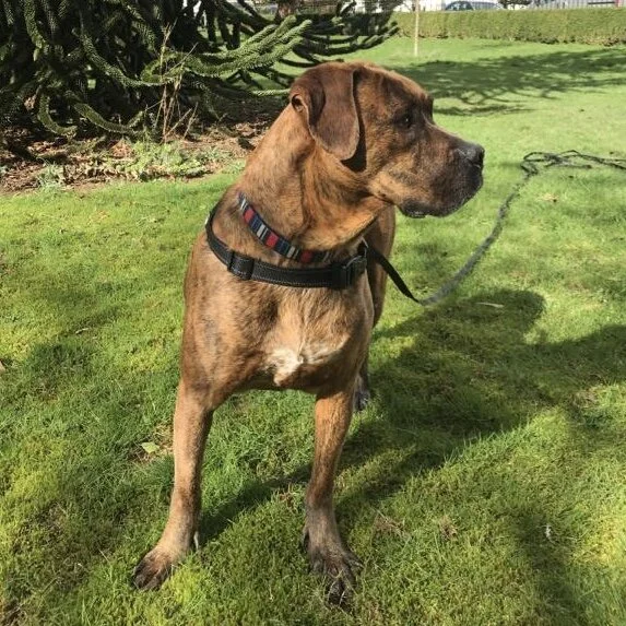 0069996D-DC99-47A4-AD79-785A9EE90F36