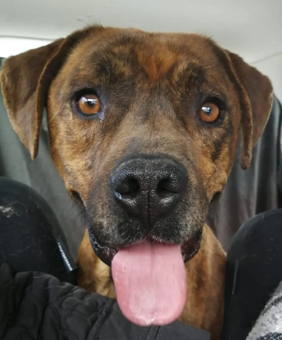 DE82DC4F-FE10-4132-8050-B209CDE269E2