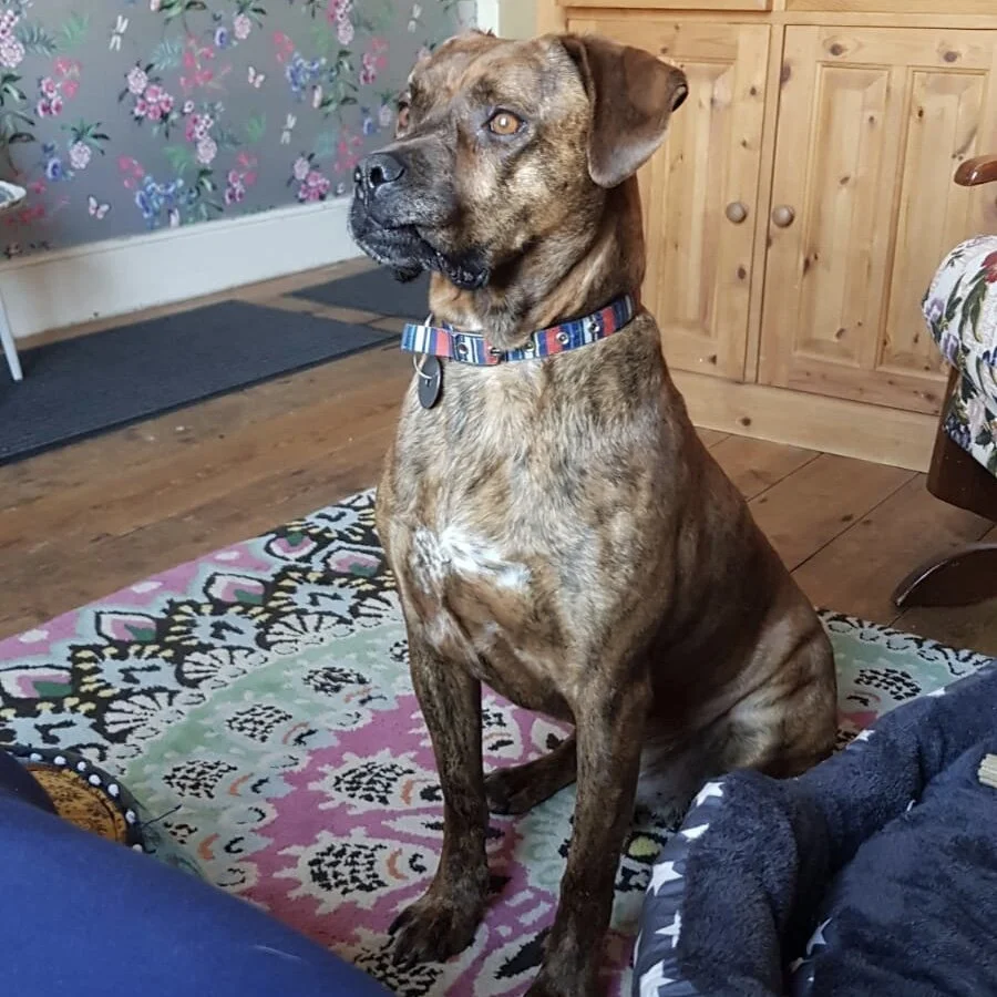 98944AE5-BEBE-48C6-AC67-376E2FB79925