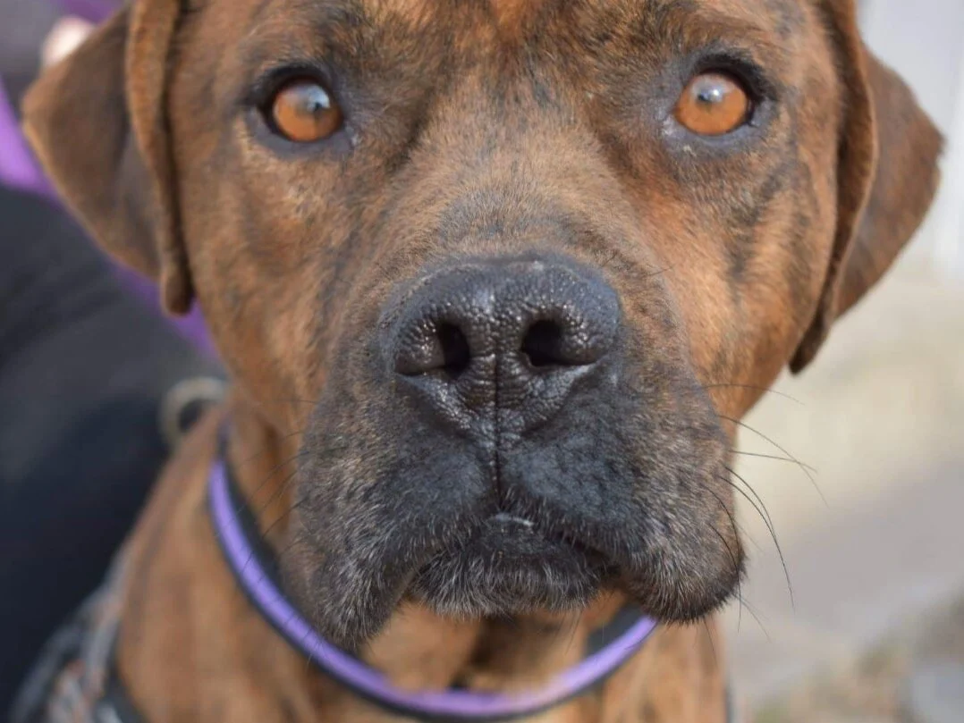 6E32B555-5A44-4BEF-B74A-8690B9409569