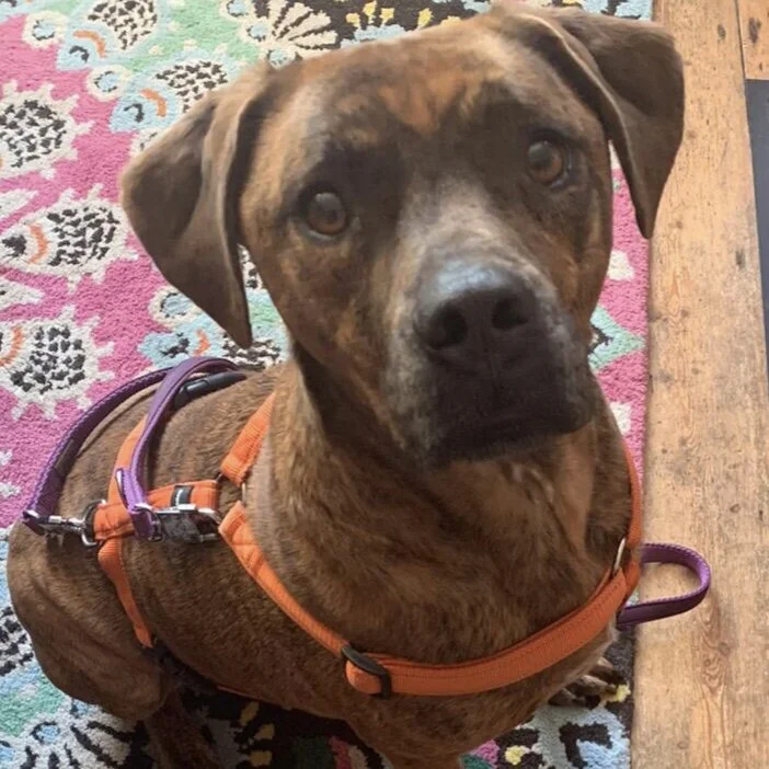 D4943F1A-854A-4571-8326-02DBBC5A3098