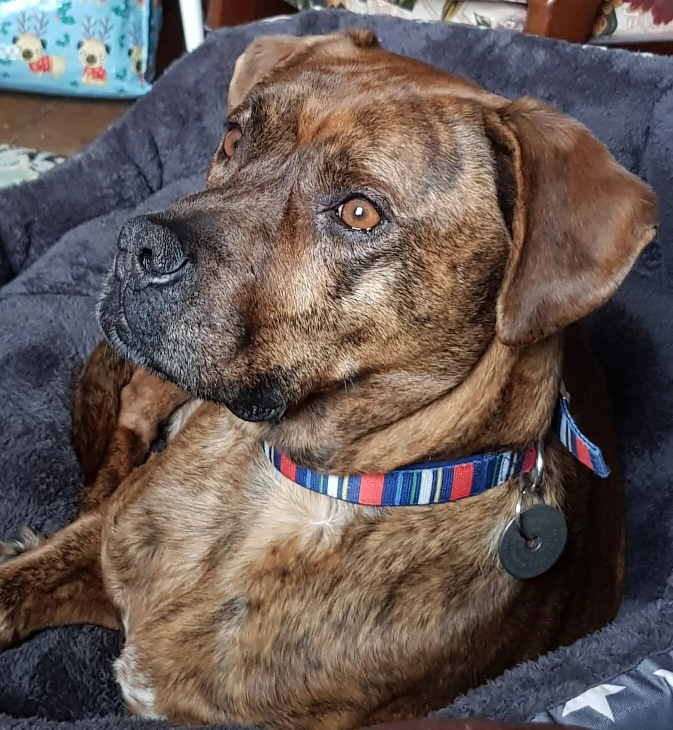 1B175FDB-D564-4646-8C19-AF7ECAA92122