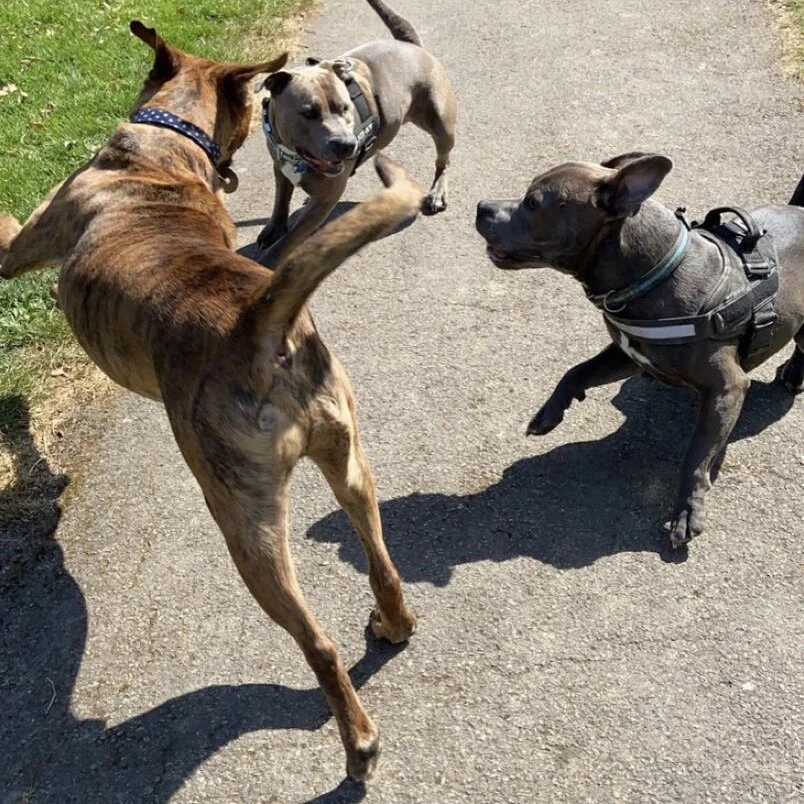 E87F1EF3-4FFD-45AA-9F41-5CA683115737