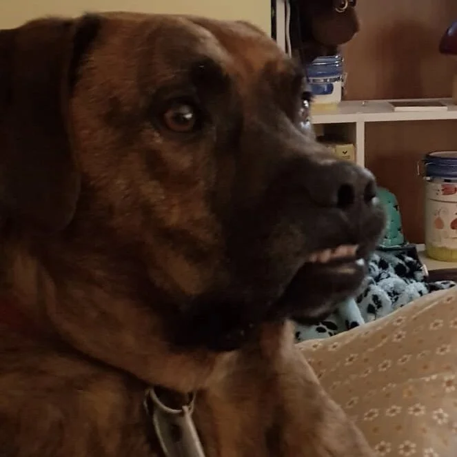 CF142F32-0358-40BE-85E2-11080A5CF4B3