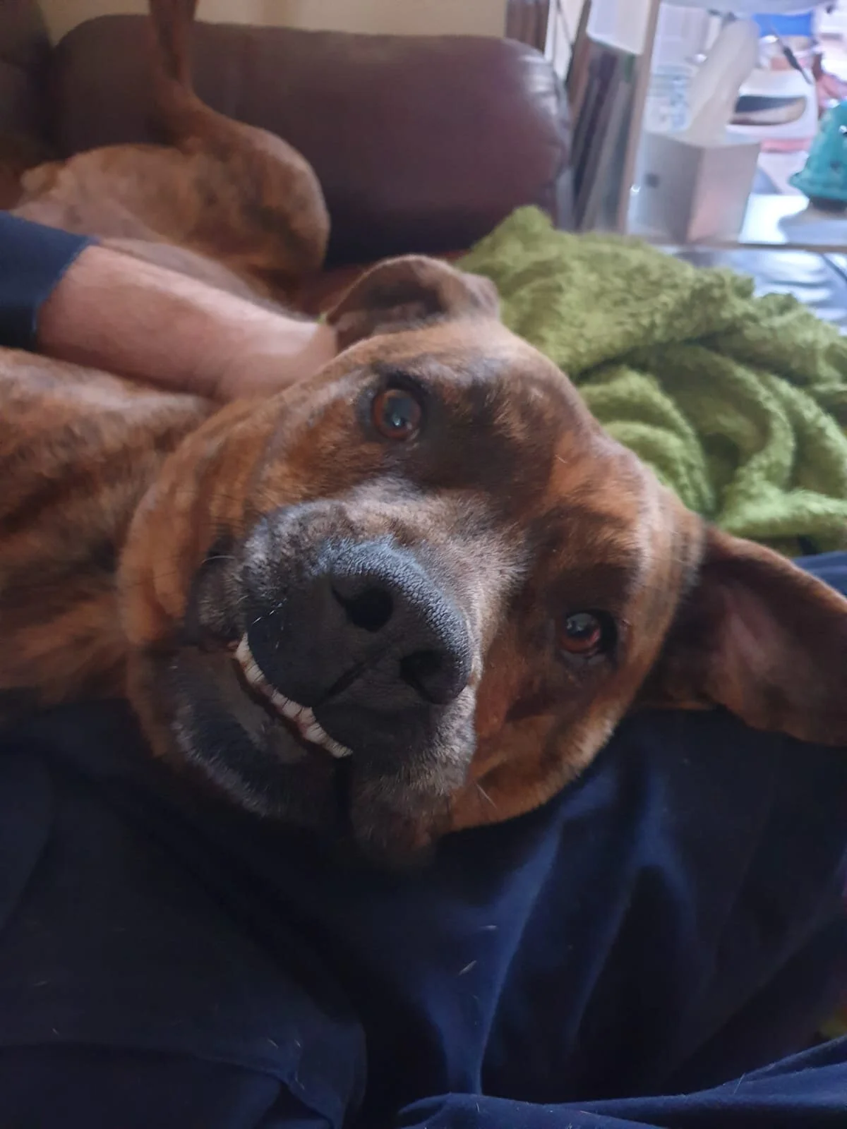 6488AB5E-954B-4905-9F0D-D6BF2DA1D561