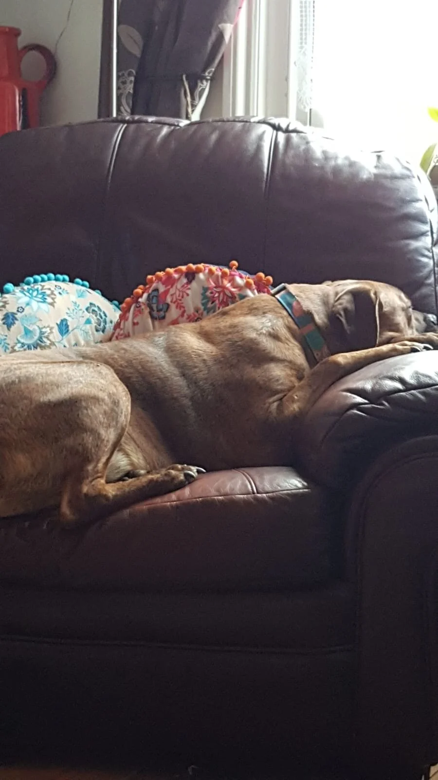 4870BBE1-21B5-4481-ACA2-4E73DF764DD1