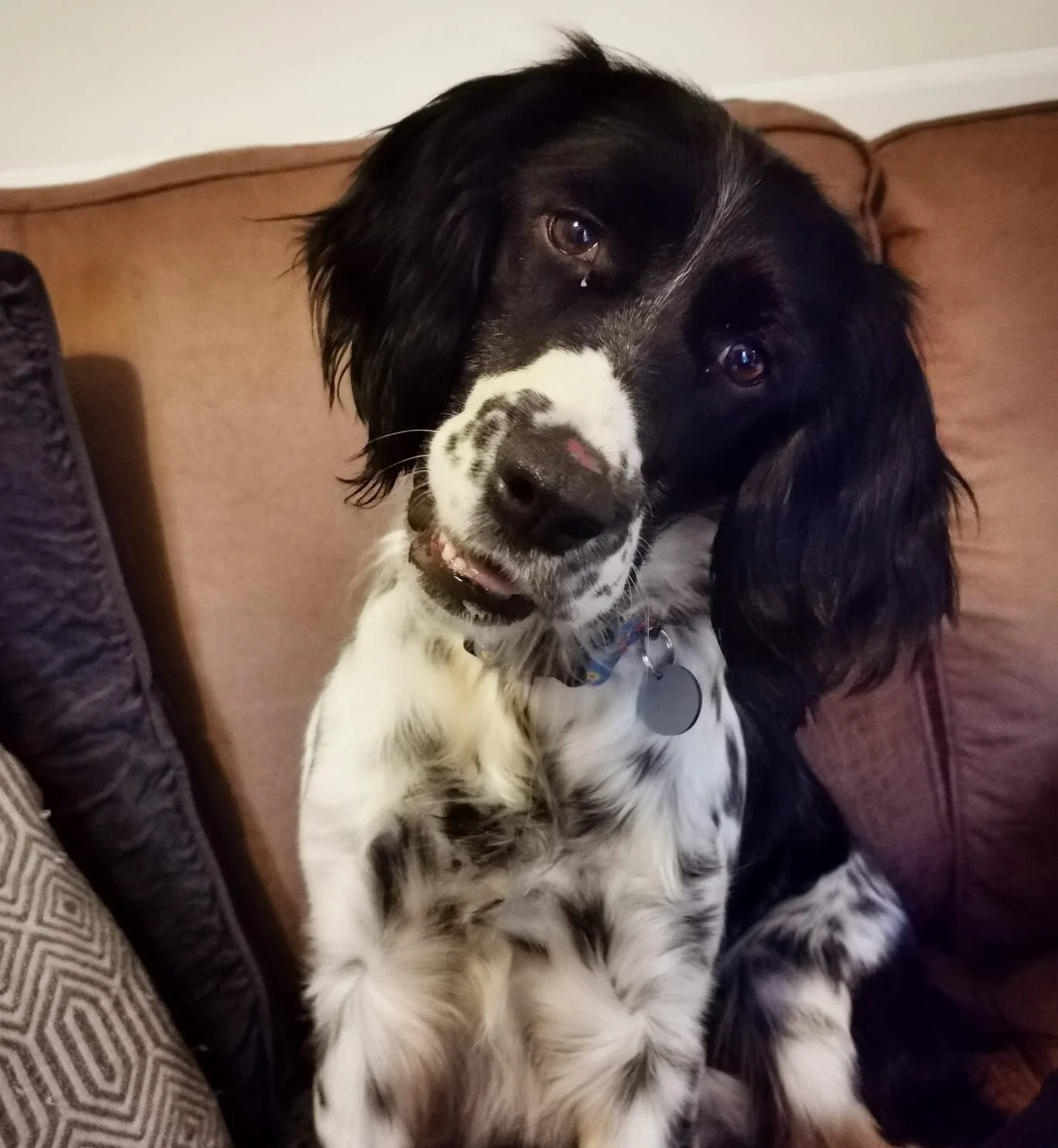 8B5459D7-BC42-44F0-8EF2-9B13C646B7C8