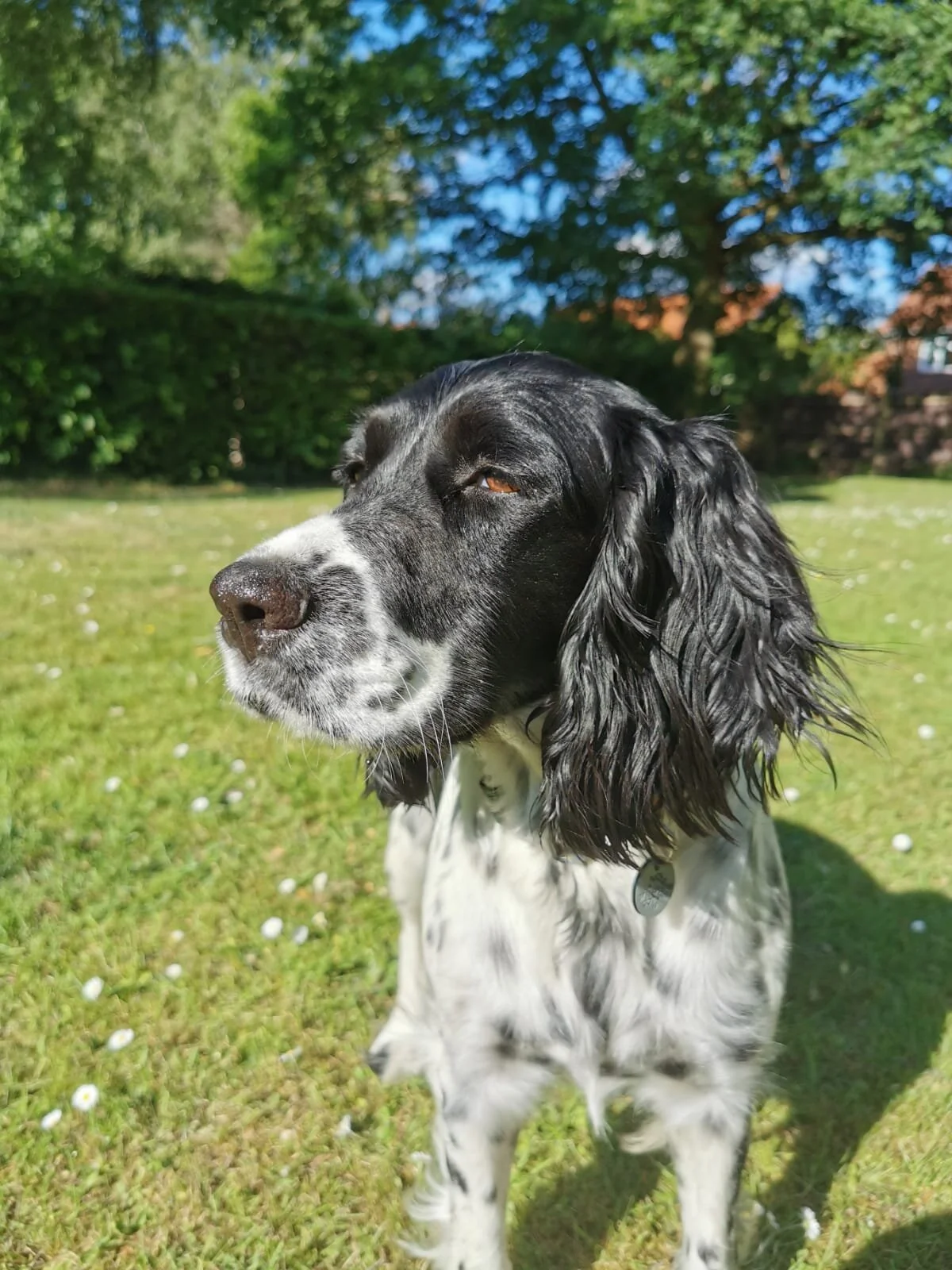 5DE321BA-8FD8-4176-A06E-854A82CAB403