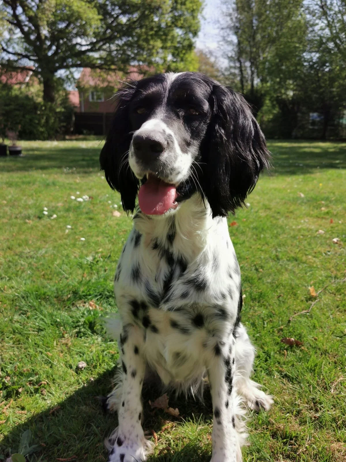 05D61166-A319-4269-8ECF-308026E3C68D