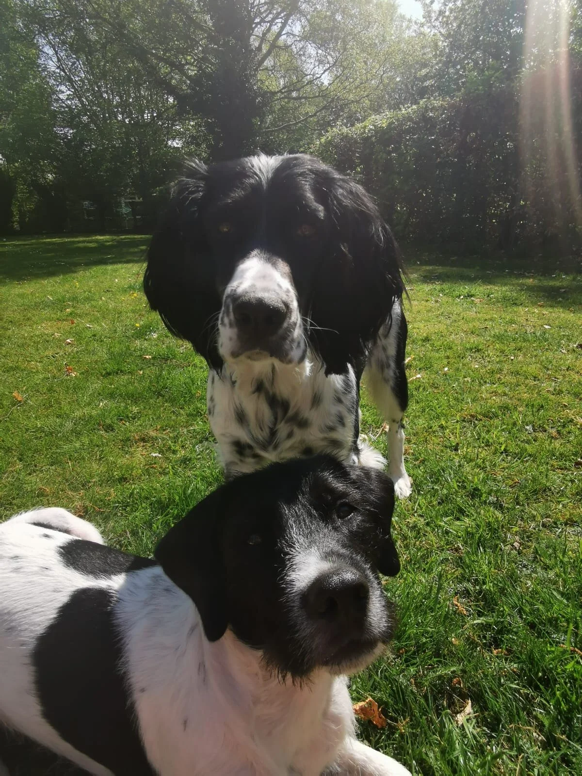 CDF27948-A510-411B-911C-2B1879FF5B02