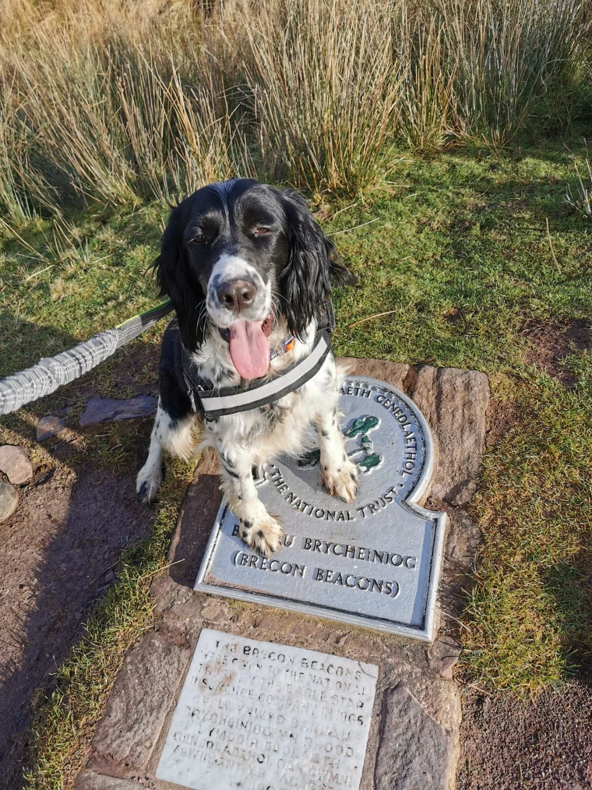 4F2F2B42-9C2B-4042-90D3-86157ABDC583