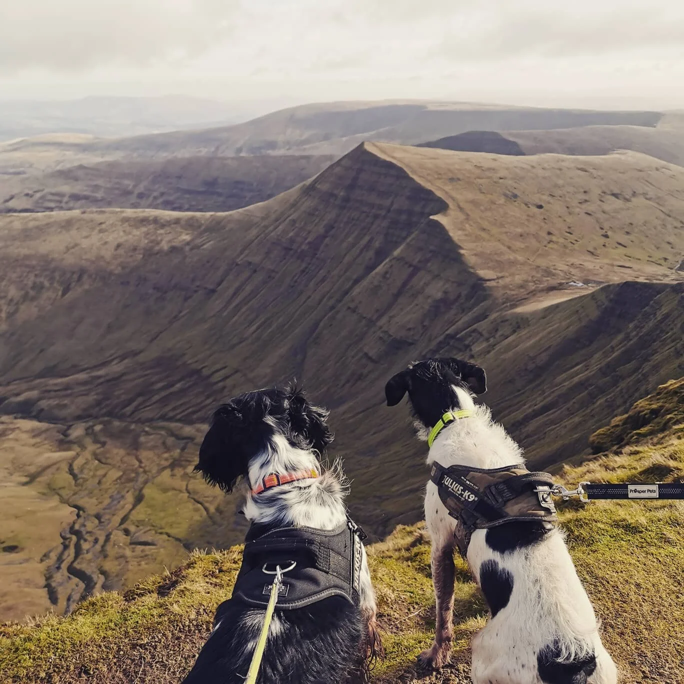 C745B1FC-CD82-4461-81B0-156AB7508C36