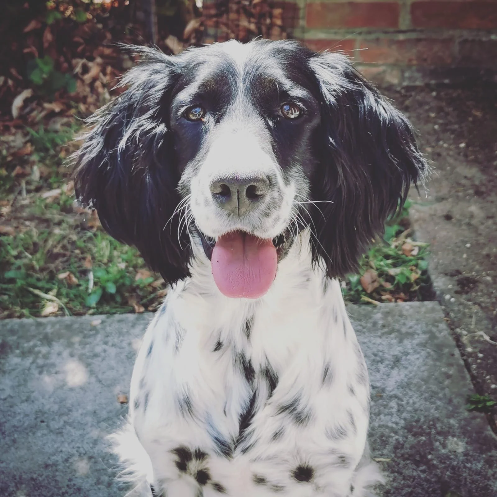 3D48752E-DA4B-4BA0-842C-6EFA67C932EB