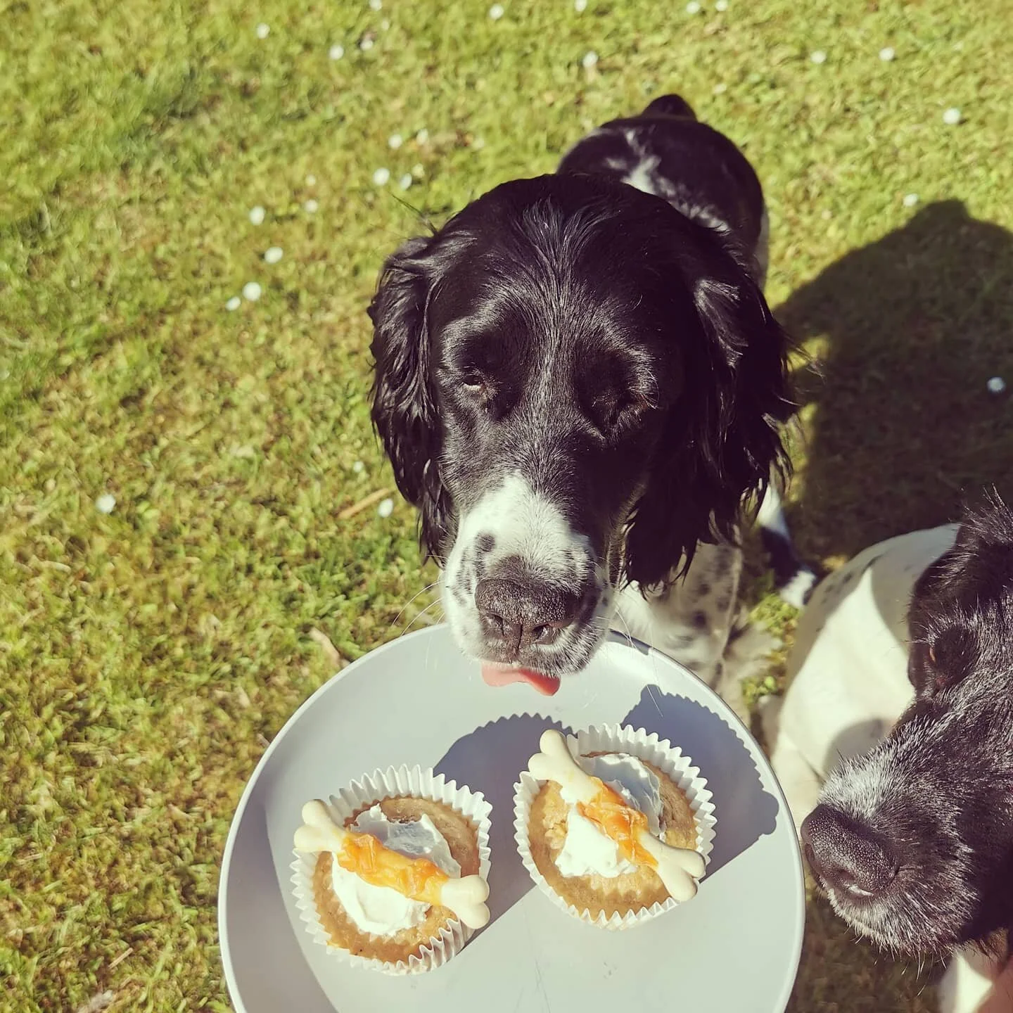 C8DCBB6E-A5E0-4EC1-8CA6-4F373DC30E84