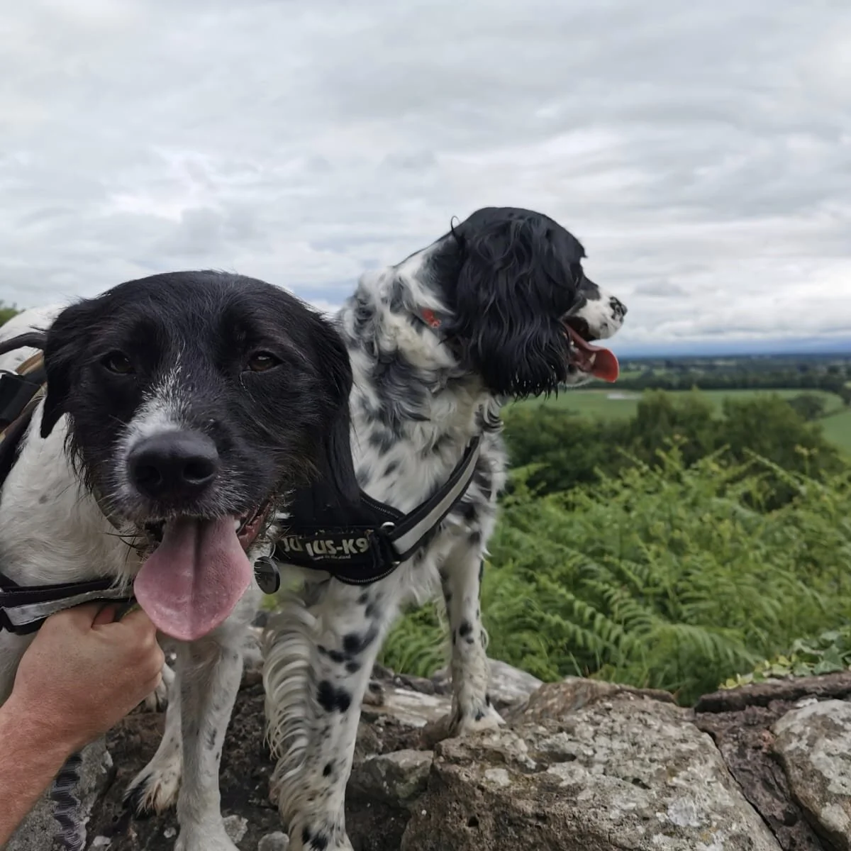 9B639318-4584-41BE-B6FC-0D42E258DC98