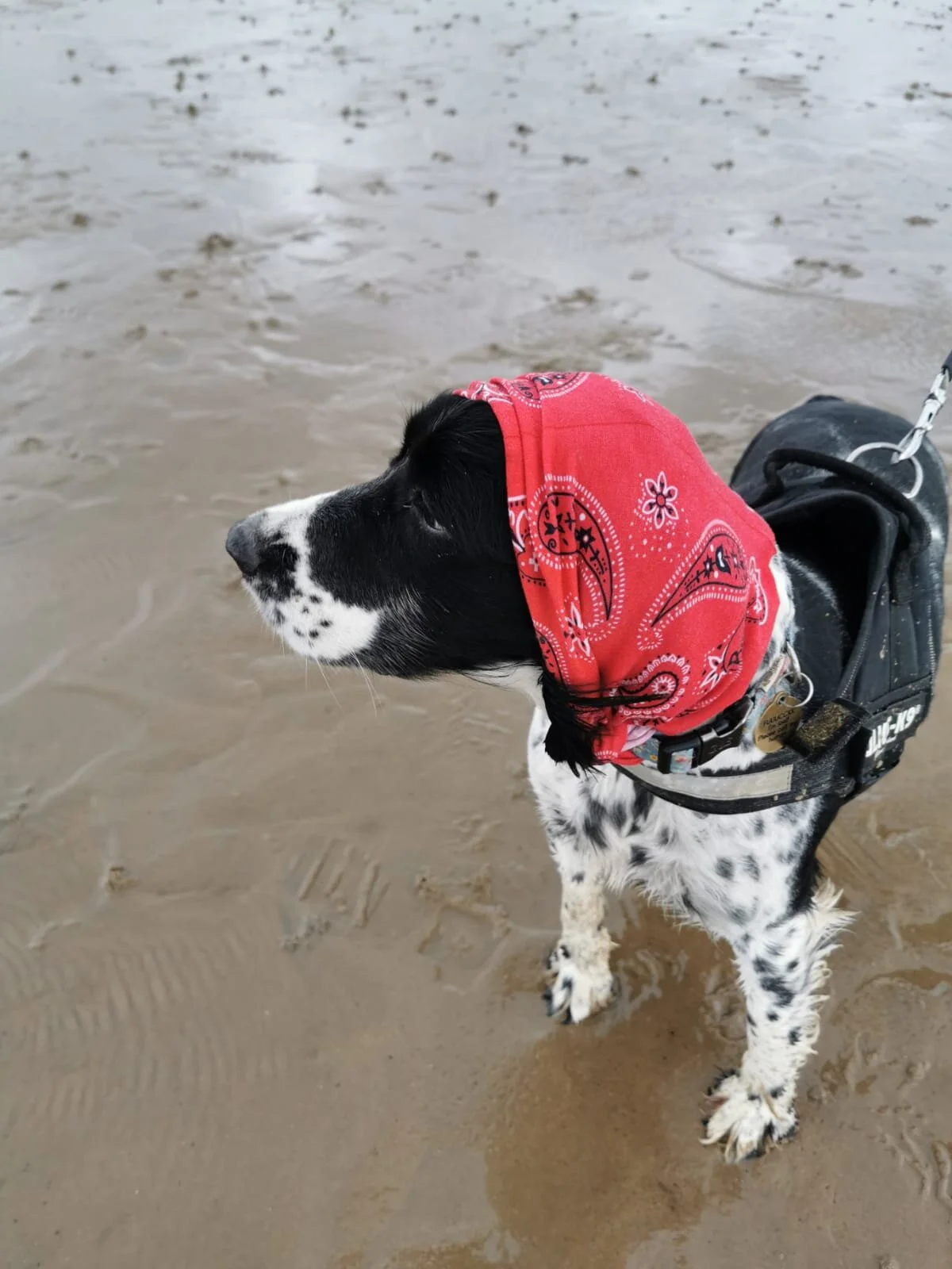 809E09AF-CB31-4D10-87C1-391B54959D2D