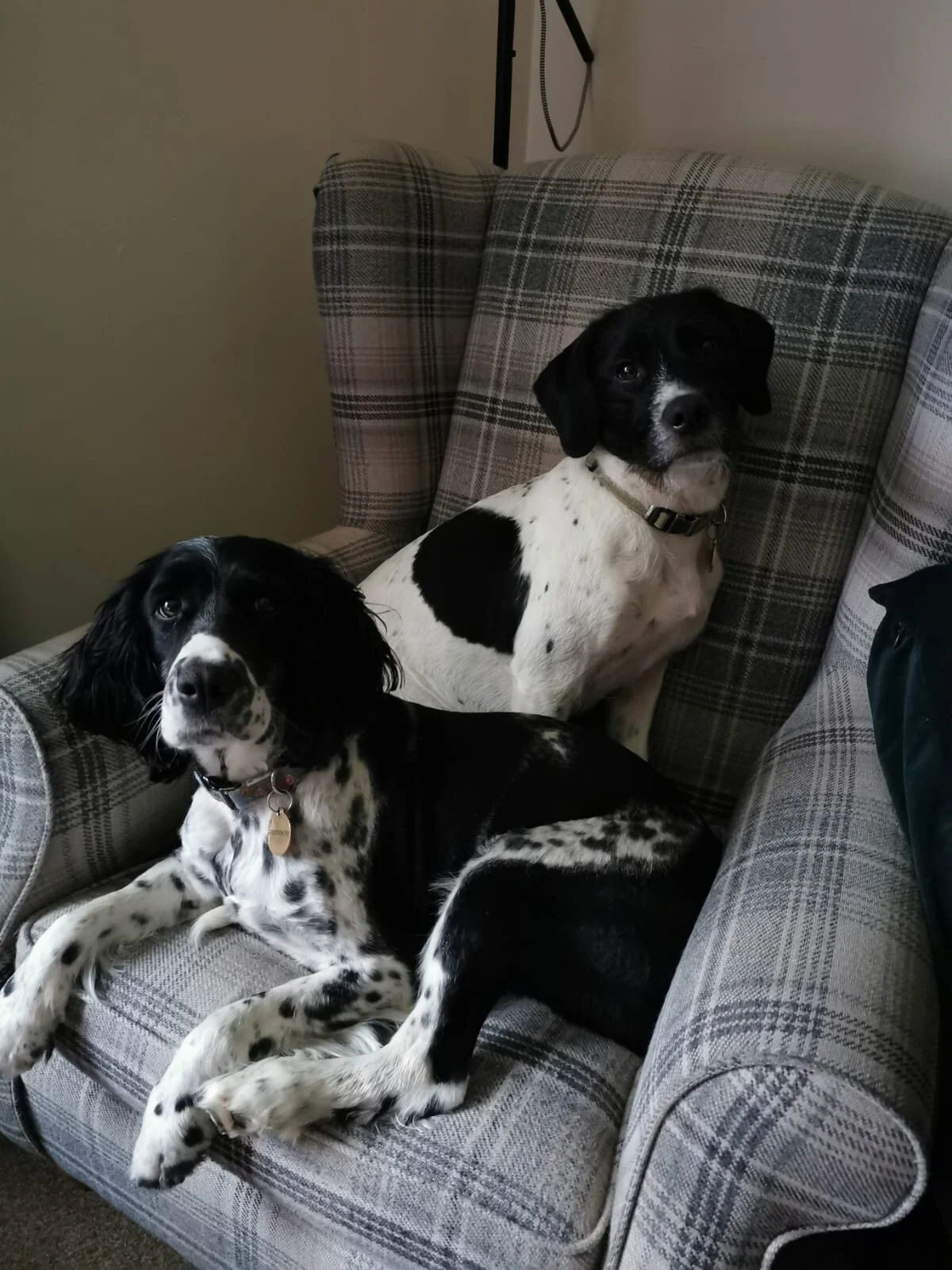 39D97836-3D07-4EEF-9D46-28D8DEA048B0