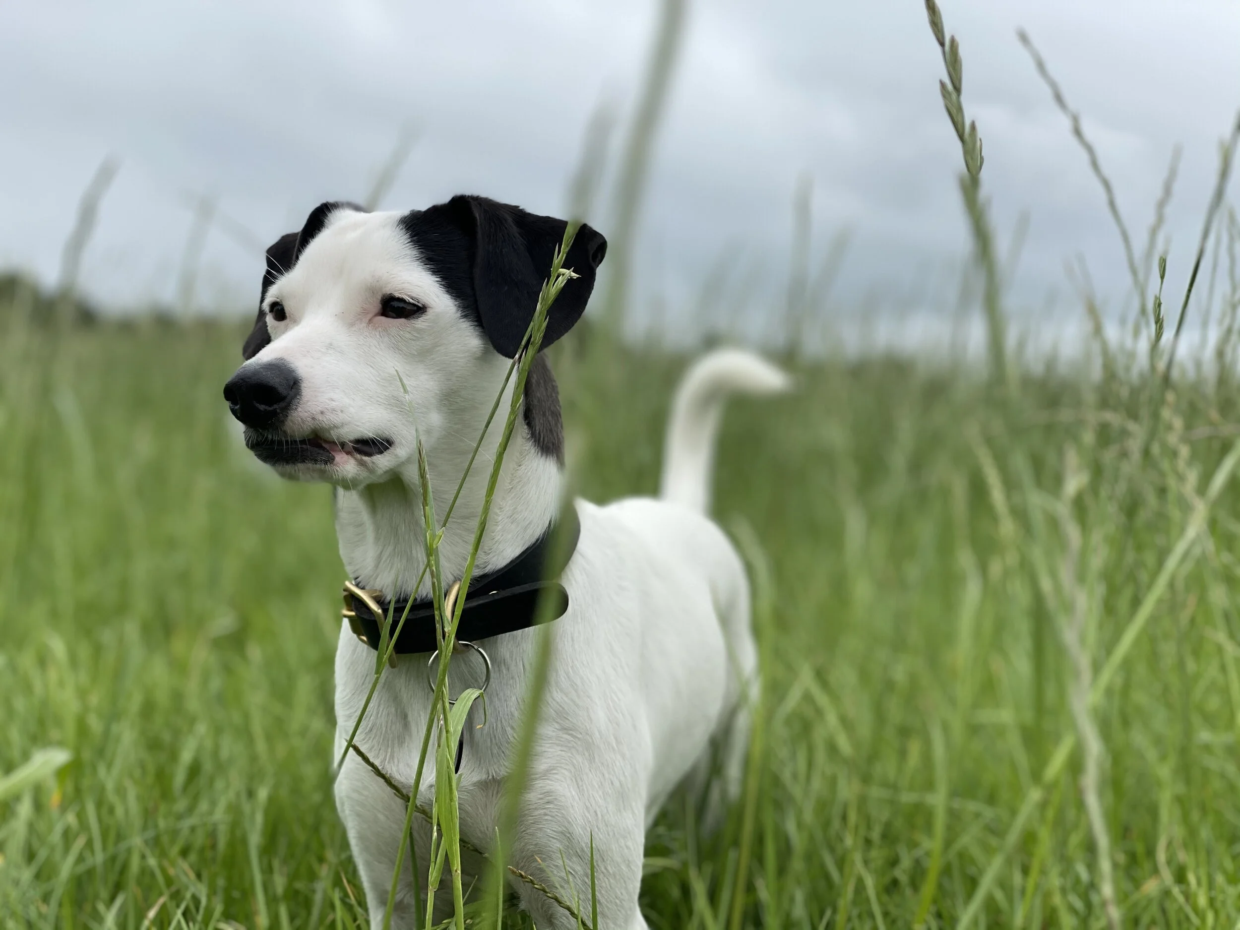 42402D44-BE19-4D45-AFB0-AD4AF85CBC64