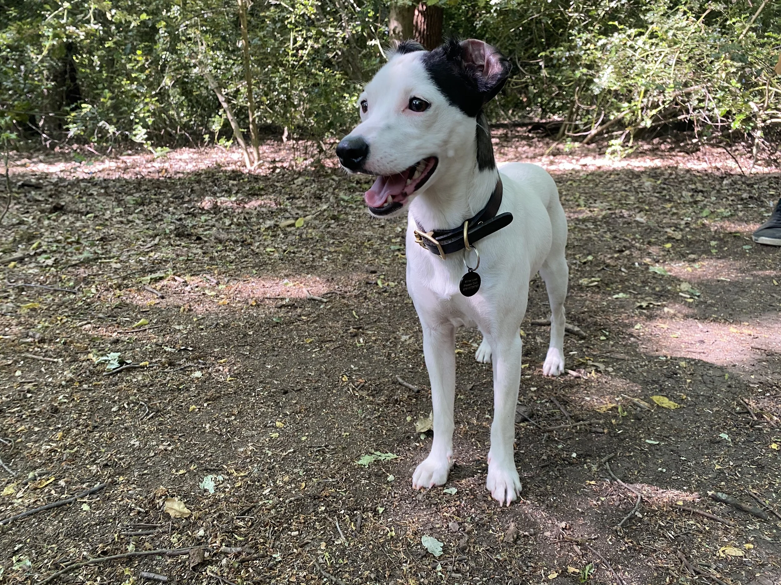 6CFF6CC6-5ACA-453F-8621-0BD6ADE84579