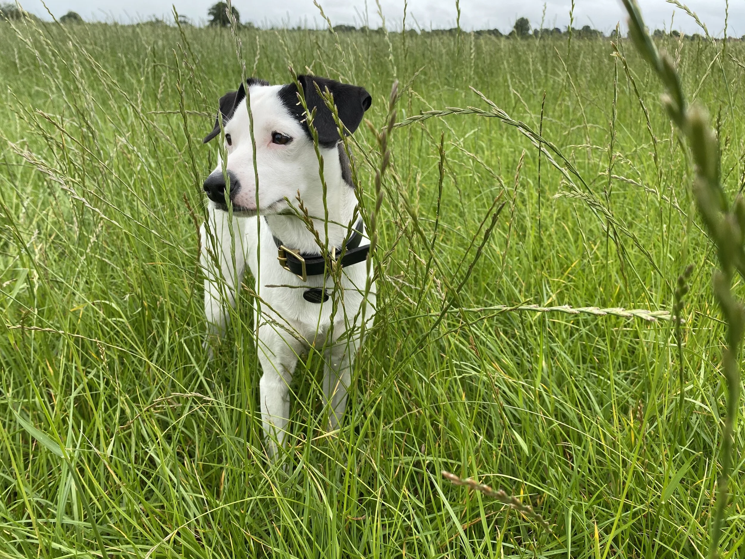 B12A0F14-D6F9-42AC-AAC1-5C24BE6BDEA3