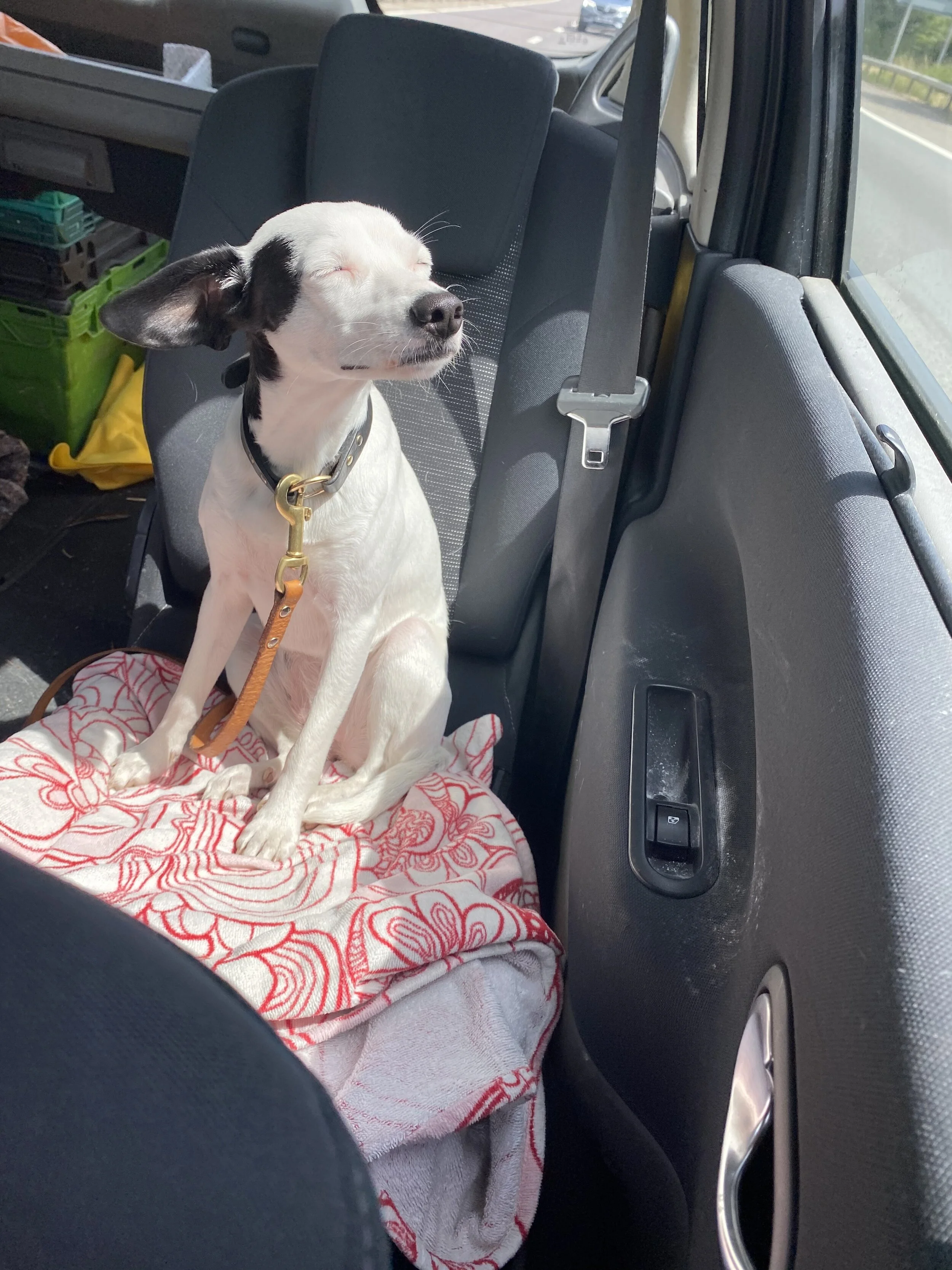 0B06F5F3-0599-4C92-BCC5-B6CDA8647EAB