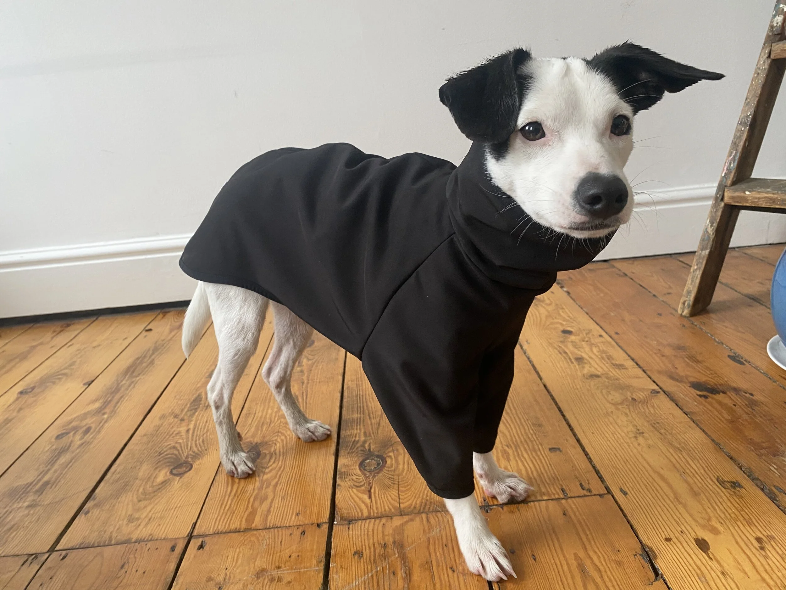 998FAAE8-6AAB-467D-842B-E17F76C9A24B