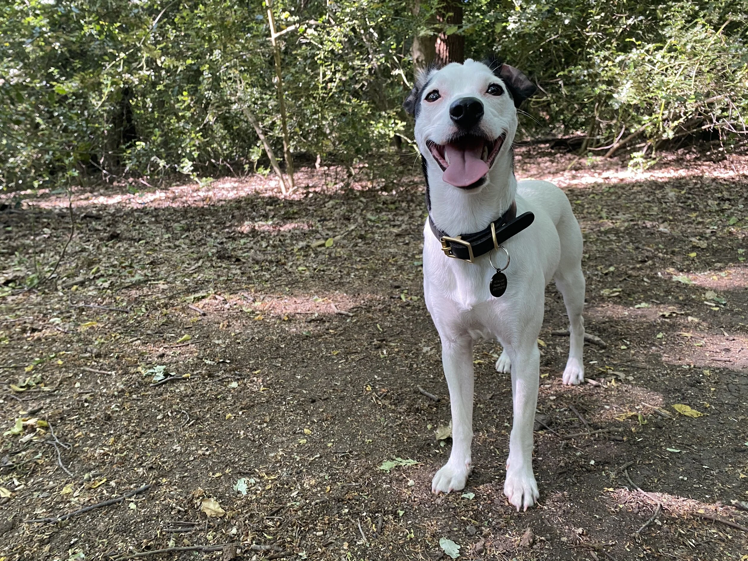 F9900015-B8A2-41EE-ABF9-8CE1A3D7AB27