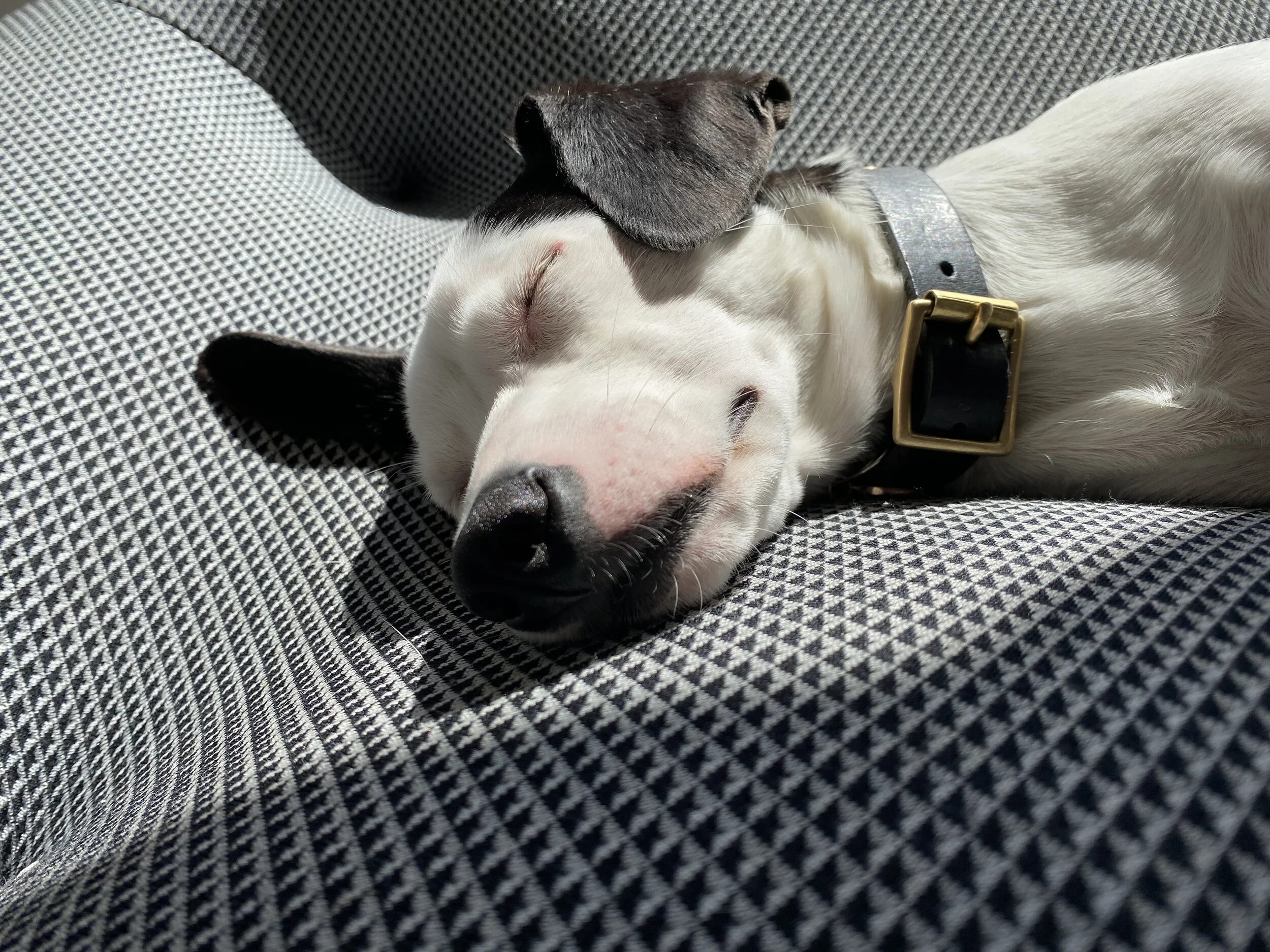 93BA14CE-757D-4781-8C2F-EFA438C15E5B